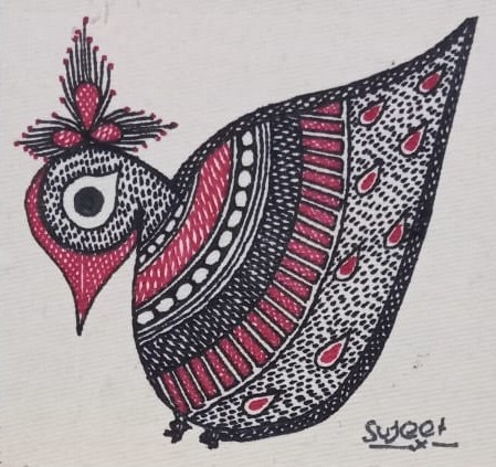 Curious Bird
