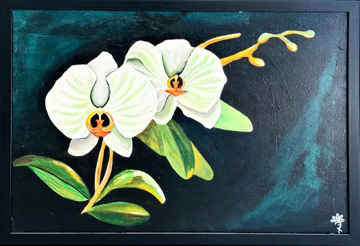 Orchid Elegance