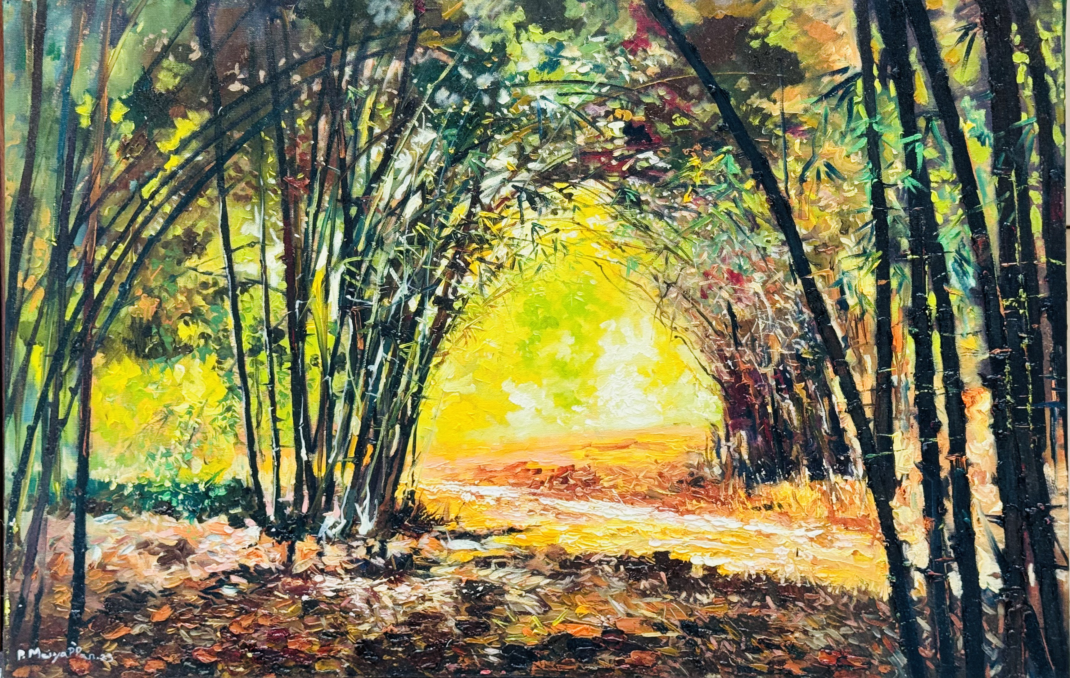 Pathway Through Light