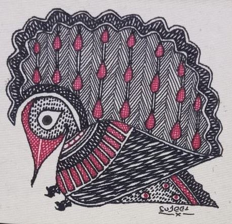 Peacock Pride