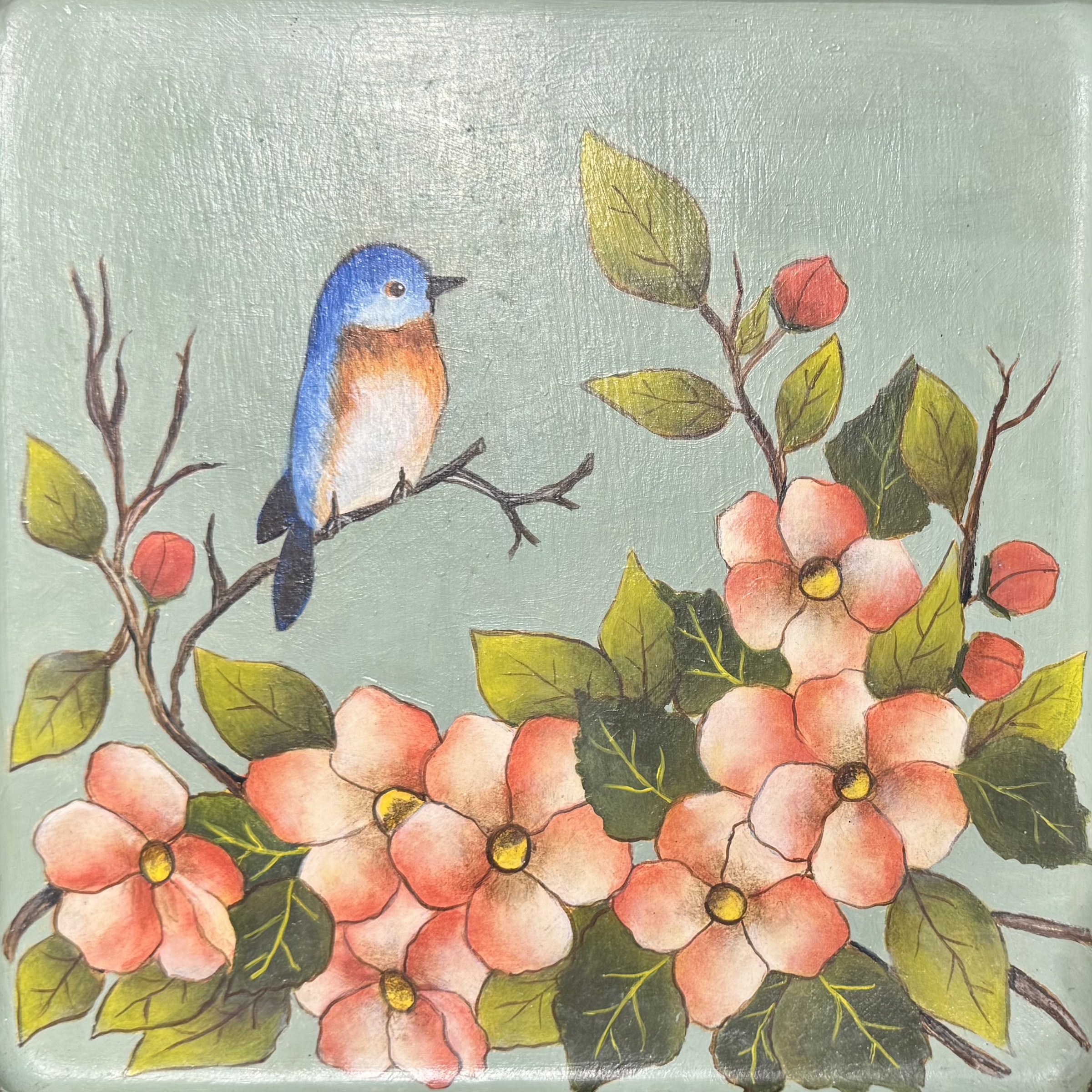 Robin on Plate