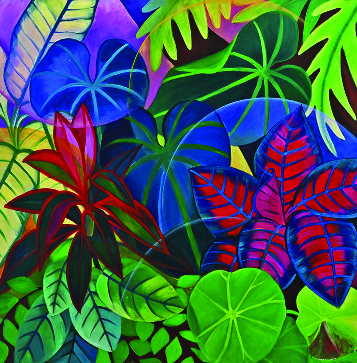 Botanic Gardens - Crotons