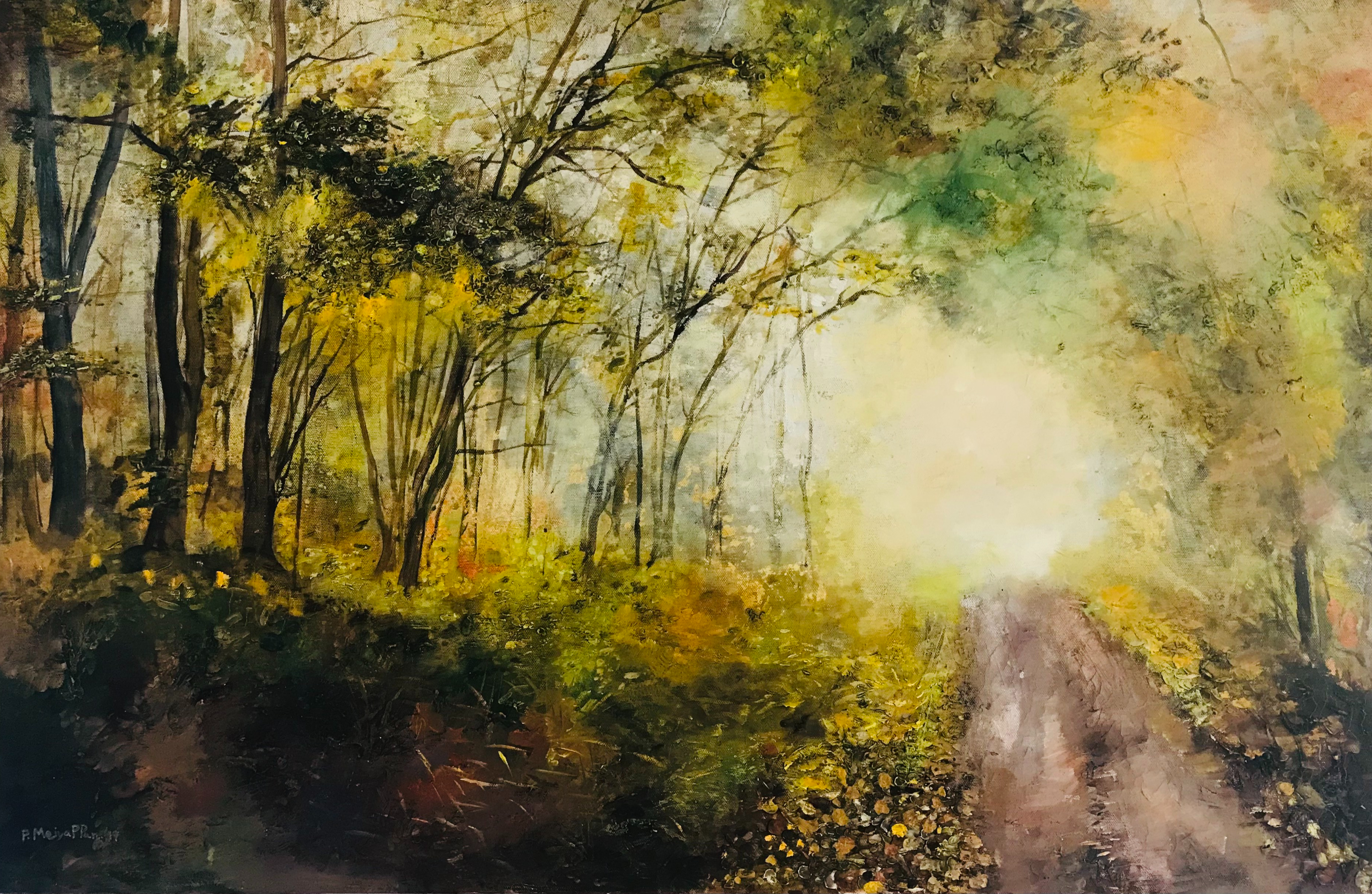 Hazy Forest MP